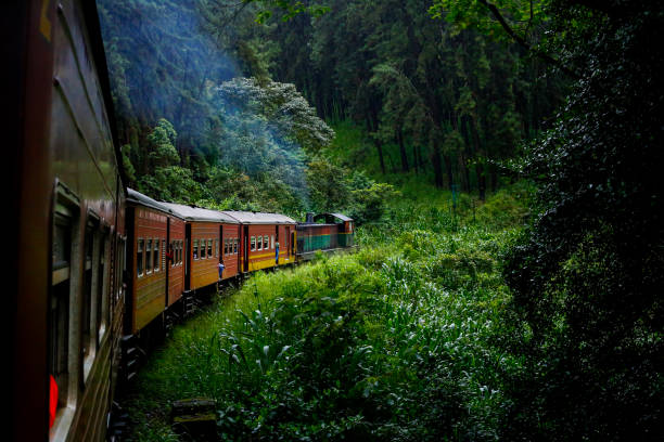 7 Scenic Train Rides You Must Try